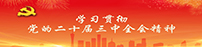 学习贯彻党的二十届三中全会精神