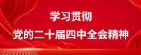 学习贯彻党的二十届四中全会精神